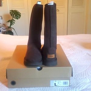 Classic Tall II Ugg boots, Chocolate, size 7 new in box